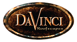 Davinci